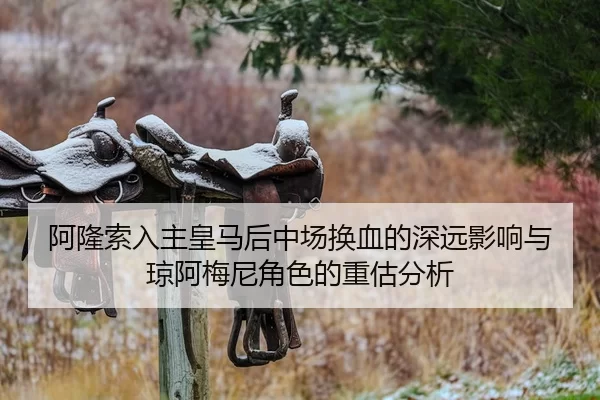 阿隆索入主皇马后中场换血的深远影响与琼阿梅尼角色的重估分析