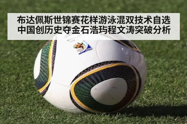 布达佩斯世锦赛花样游泳混双技术自选中国创历史夺金石浩玙程文涛突破分析