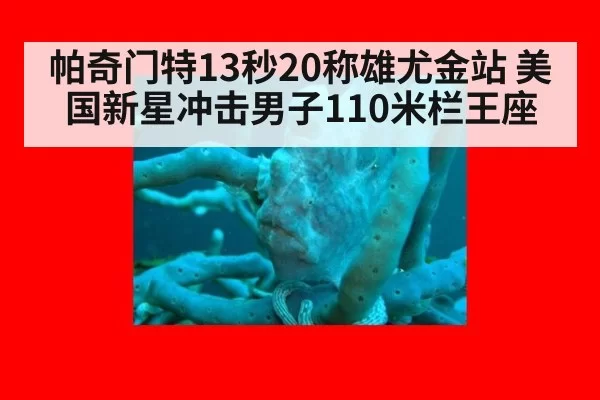 帕奇门特13秒20称雄尤金站 美国新星冲击男子110米栏王座