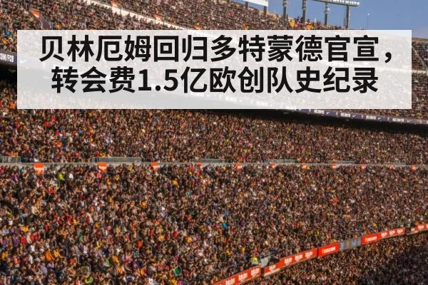 football stadium crowd