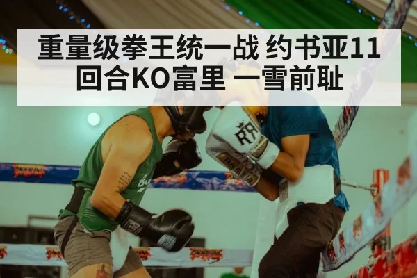 重量级拳王统一战 约书亚11回合KO富里 一雪前耻